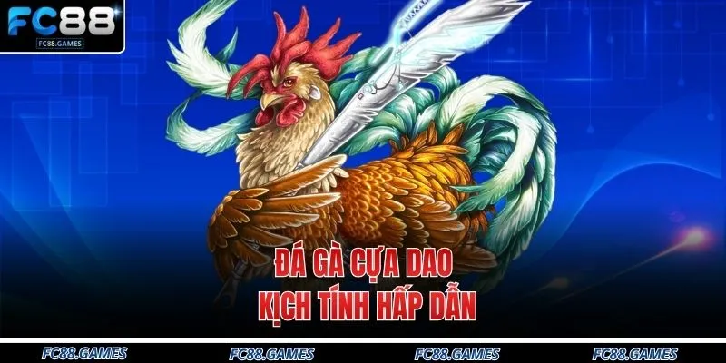 Đá gà cựa dao kịch tính hấp dẫn