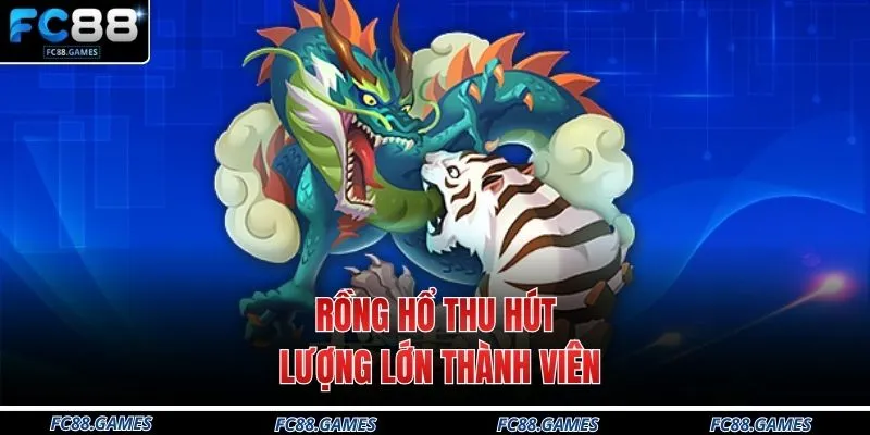 Rồng Hổ thu hút lượng lớn thành viên